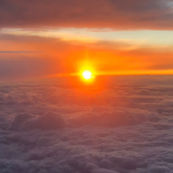 Meet your Posher, Jordan - Picture 1 of 1